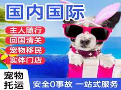 恩施许家坪航空快递国际宠物托运 【国